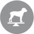 CLUB 4 PAWS PREMIUM "SVORIO KONTROLĖ". VISAVERTIS SAUSAS ĖDALAS SUAUGUSIEMS ŠUNIMS VIDUTINIŲ IR STAMBIŲ VEISLIŲ, STERILIZUOTIEMS IR TURINTIEMS POLINKĮ Į NUTUKIMĄ. SU DIDELIU KIEKIU KALAKUTIENOS